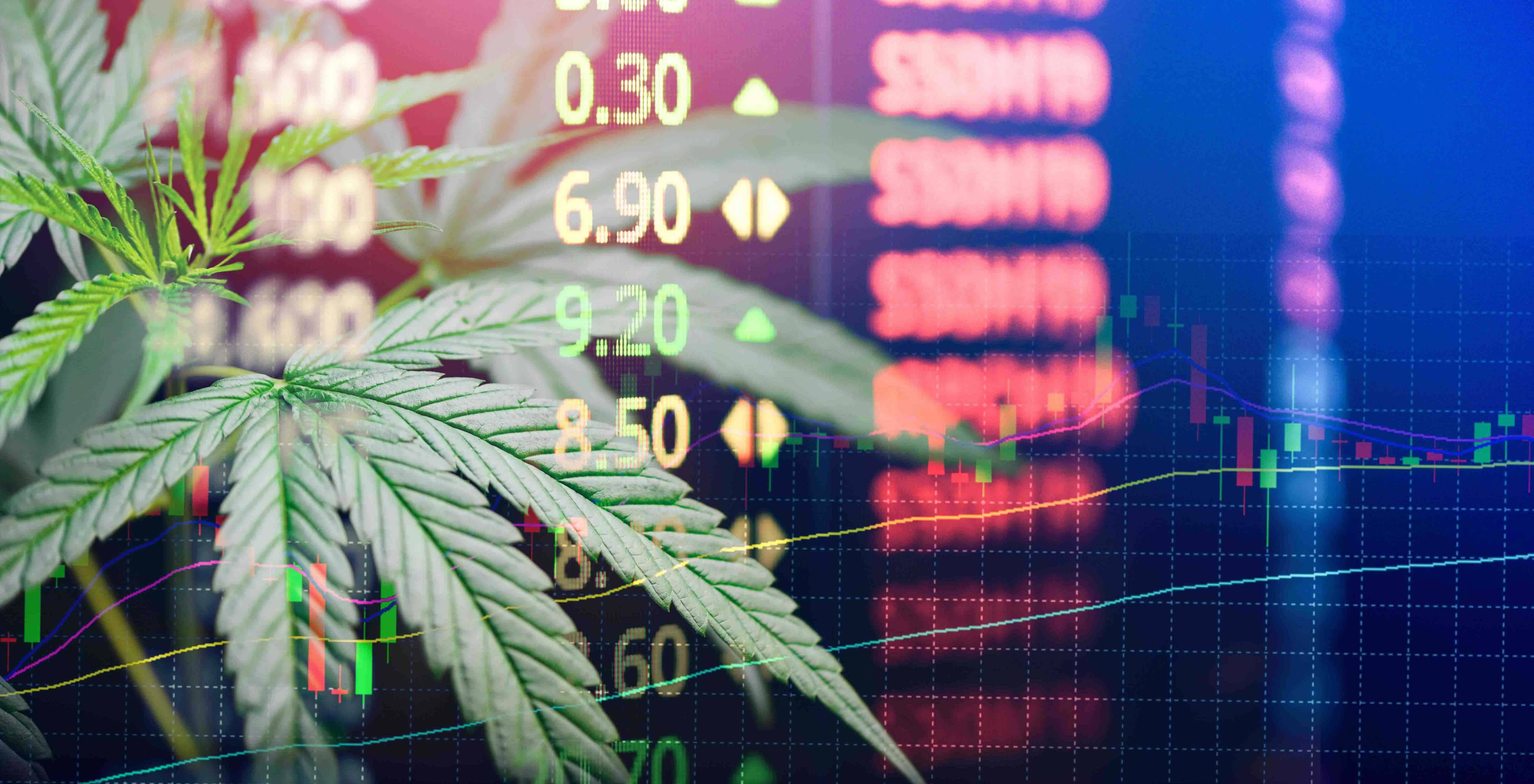 Cannabis over stock ticker