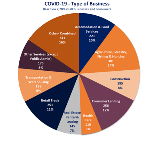 COVID-19 Revised - Type of Business