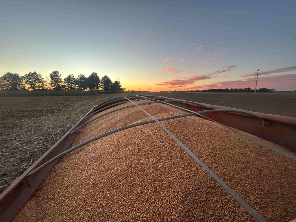 back of a combine during the harvest with a view of the sunset