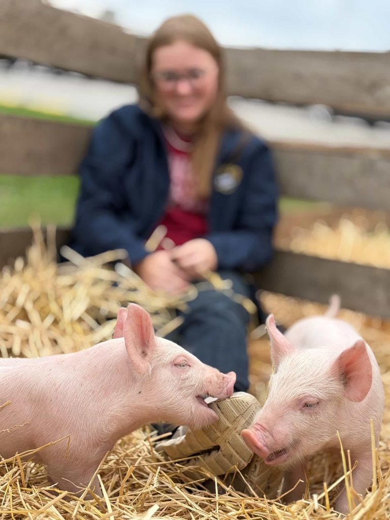 a young woman sits in bed of a truck with two piglets