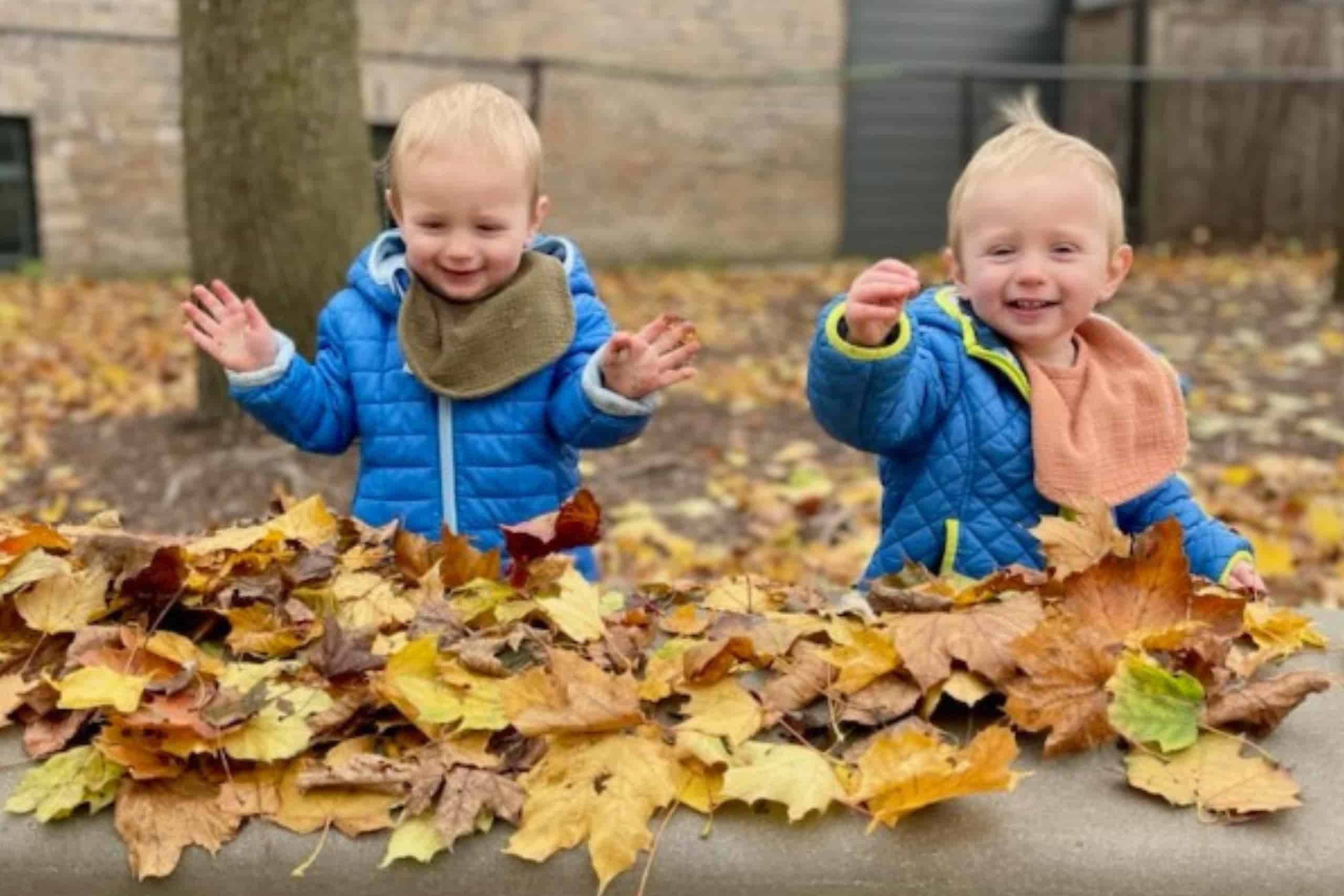 The twins playing in fall leaves