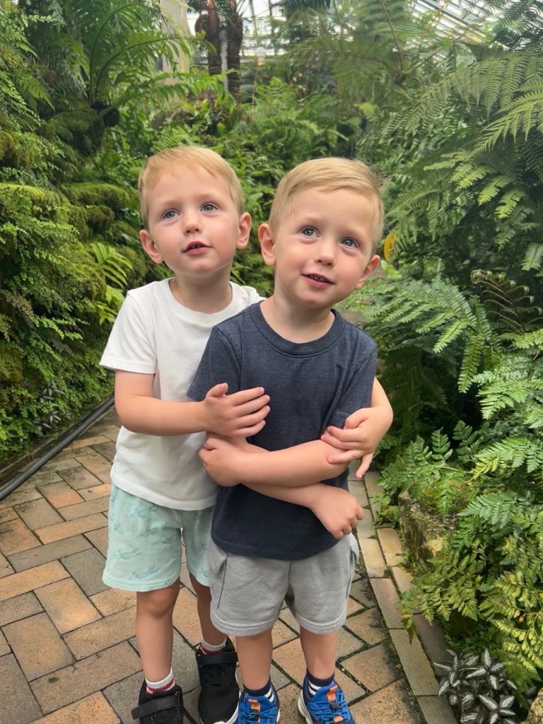 Twin toddler boys hugging on a brick sidewalk amid green plants